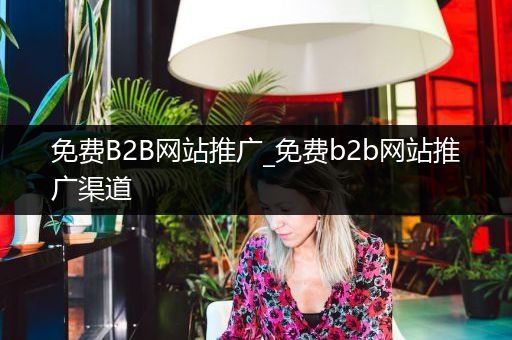 免费B2B网站推广_免费b2b网站推广渠道